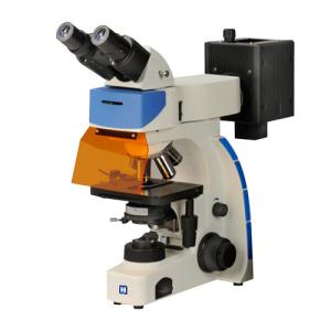 China Binocular Upright Fluorescence Microscope LF-202 wholesale