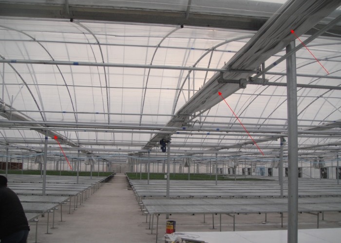 12m Span Gutter Connected Venlo Tempered Glass Greenhouse For Flowers 12x10 12x12 12x14