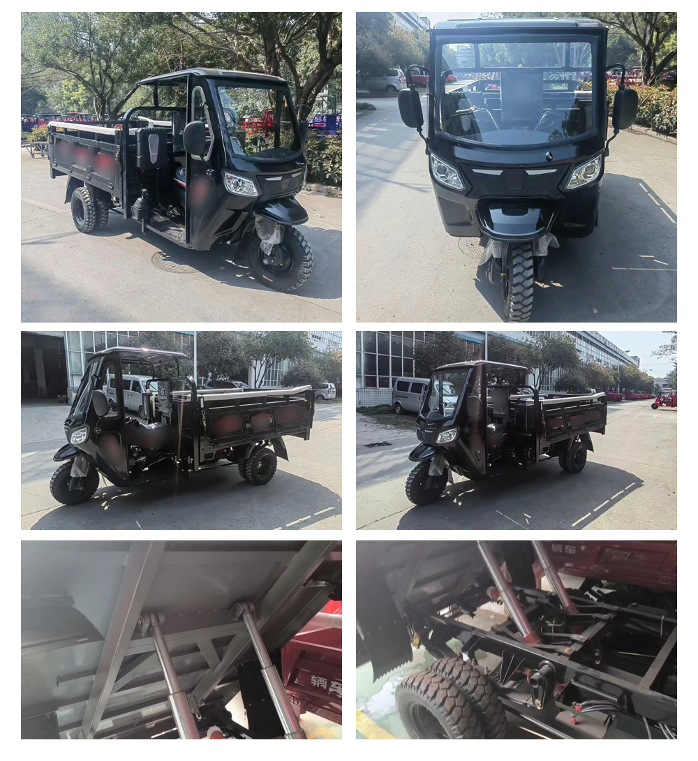 Ghana Tricycle Gasoline 300cc 3 Wheels Cargo Motorcycle with Roof and Open Body Type