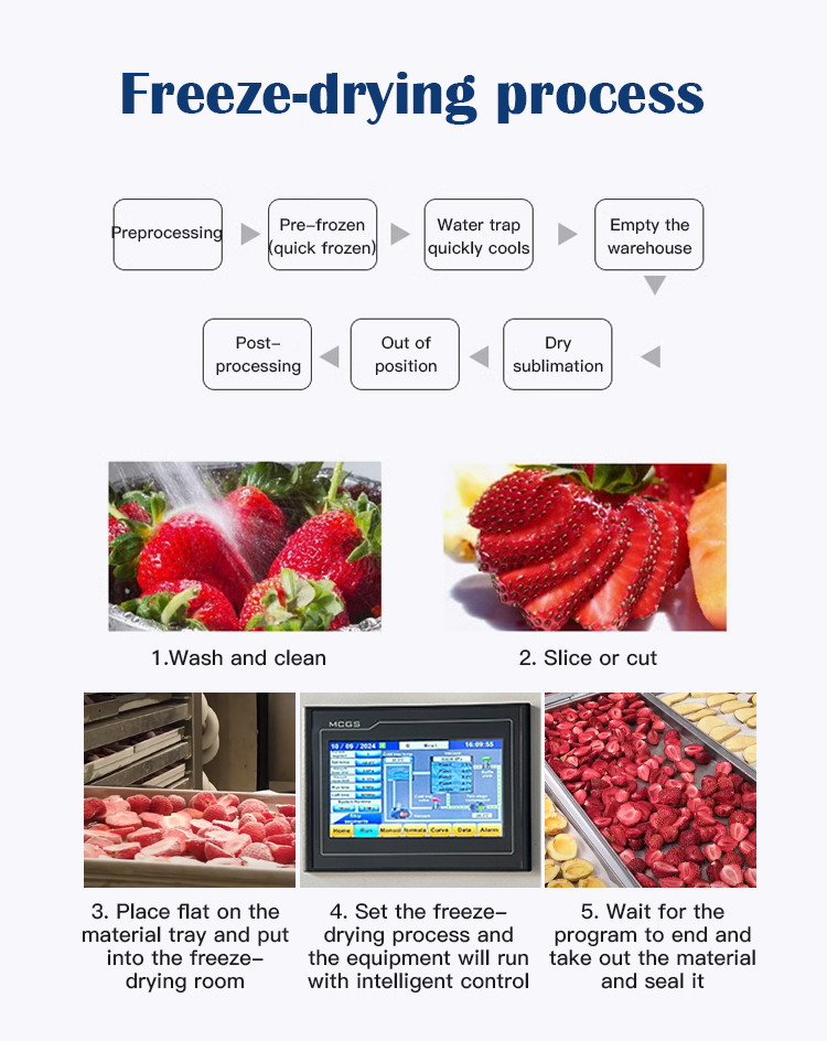 Multi-Function Lab Commercial Vegetable Snack 60KG Vacuum Freeze Dryer Lyophilizer Machine