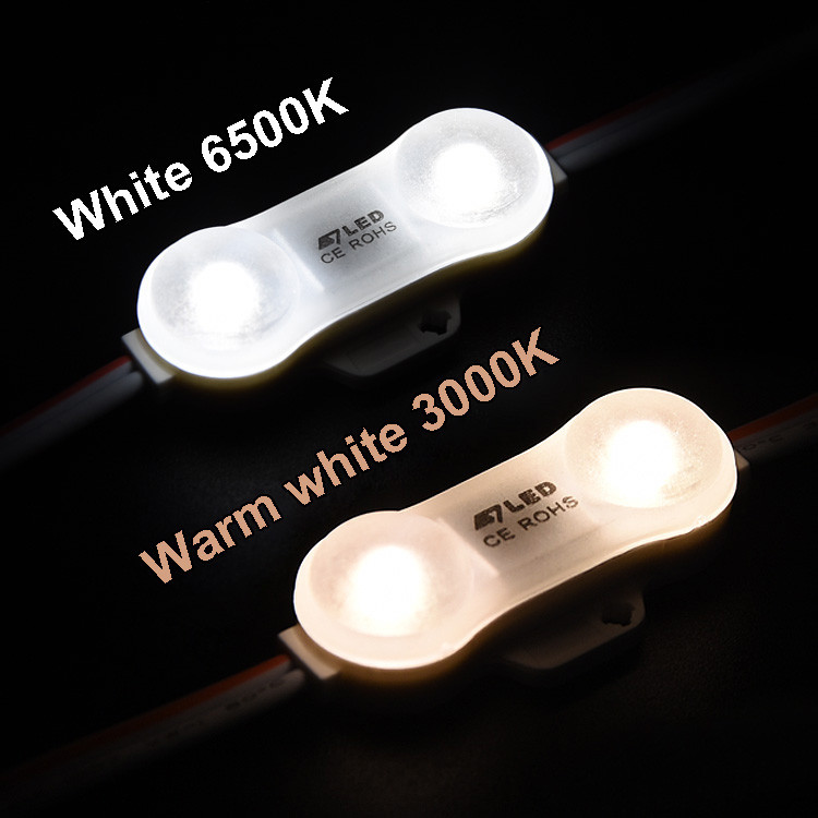 High Power 12v 2 LEDs LED Module Lights Outdoor SMD 2835