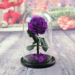 Preserved Everlasting Real Rose Flower in Glass Dome Preserved Flowers Christmas