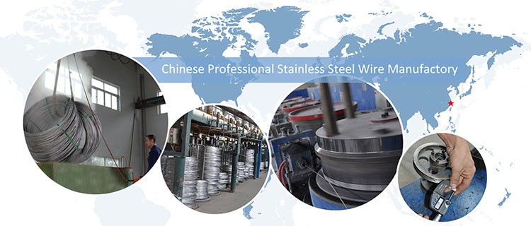 TOPONE Stainless Steel Straight Wire 302 0.25mmx30mm