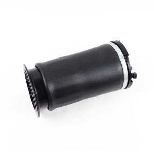 Auto Suspension Universal Air Bag Springs Suspension Kit For Hummer H2 Rear Air