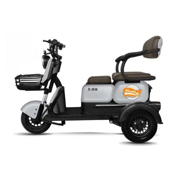 EU Stock Electric Offroad Scooter Motorcycle for Passenger 3 Wheel Adult Trike