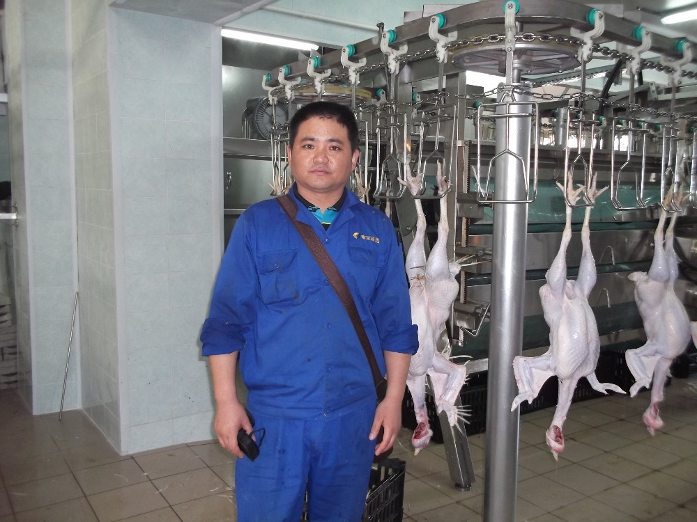 Halal Poultry Slaughter Machine Duck Geese Turkey Quail Chicken Butchering Equipment