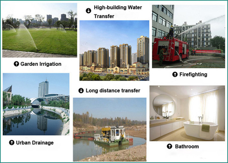 Low Pressure Electric Submersible Water Pump Customized Color Stainless Steel