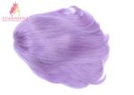 Hot Selling Custom Human Hair Wigs 100% Human Hair Purple Color Full Lace Wigs