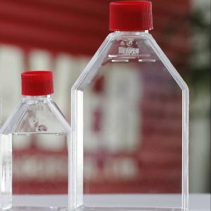 China Suspension Cell Culture Flask 25cm2 Cell Culture Consumables wholesale