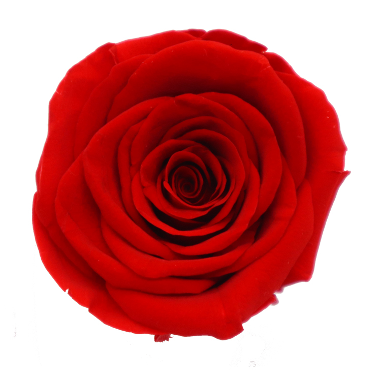 Long Time Using Dried Rose Heads , Allergy - Friendly Floral Head Wreath