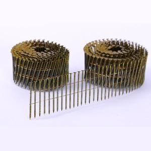 China Screw Siding Hot Dipped Galvanized Coil Nails wholesale