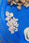 IQF Frozen Seafood Mix 500gr/bag With ISO Authentication