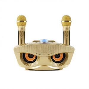 China 30W Family Karaoke Multifunctional Wireless Speak With Mic Recorder wholesale