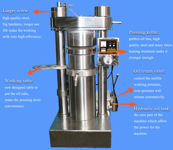Lewin Hydraulic Oil Presser Machinery Coconut Cold Oil Making Machine Equipment