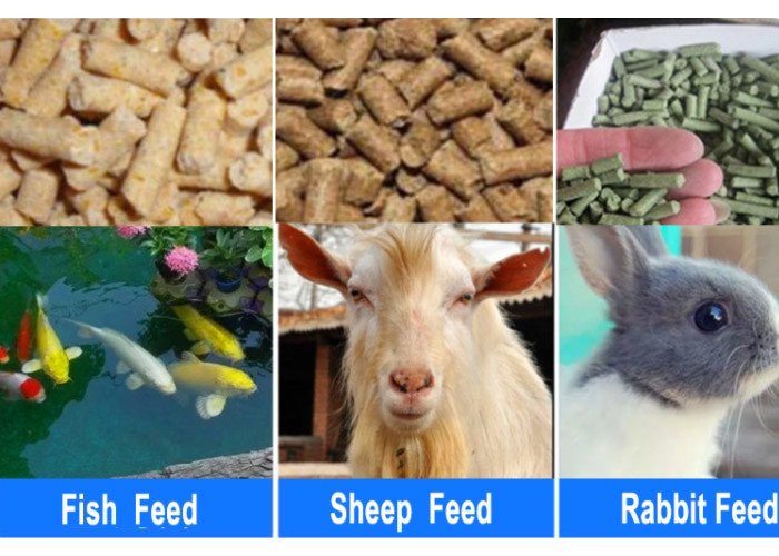 Movable 180kg/H Animal Feed Pellet Making Machine Household