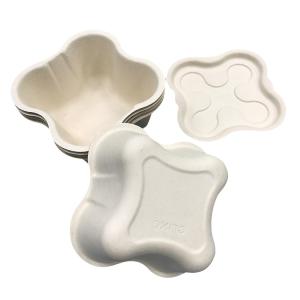 China Wet Press Bamboo Paper Tray 1mm Thickness Biodegradable For Cat Products wholesale
