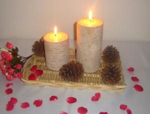 China 3X4&quot;3X6&quot; inch 100% natural bark decor candle with growth ring wholesale