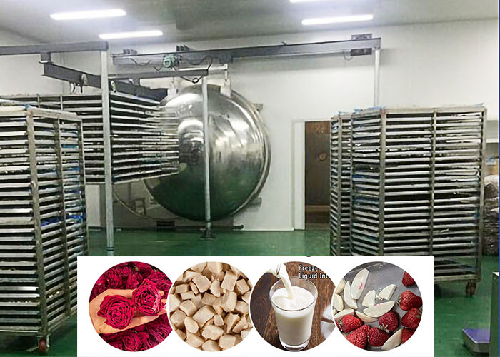 200Kg 100Kg Food Vacuum Freeze Machine