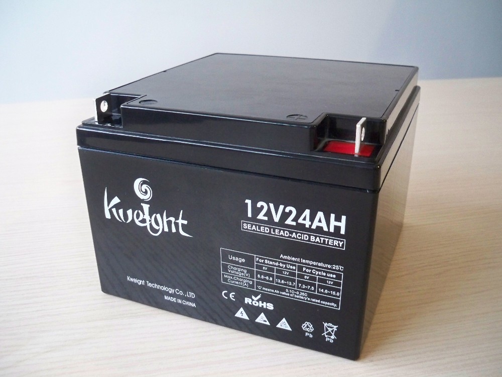12v 24ah Deep Cycle Lead Acid Battery Vrla Sla Ups Agm Rechargeable Battery