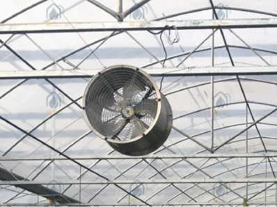 Multi Span Greenhouse Project Management & Advanced Irrigation For Large Farms