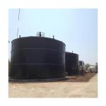 Pig Manure Digester Tank Biogas Anaerobic Digester Capacity