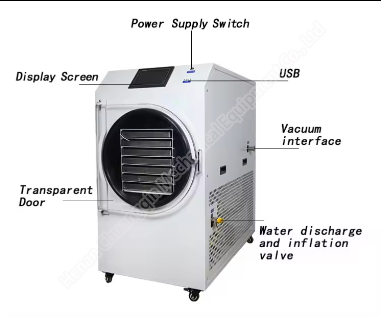 Vacuum Freeze Dryer Lyophilizer Machine Household Freeze Dryers Lab Freeze Dryer