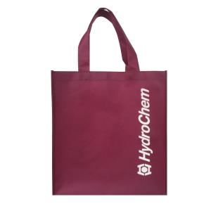 China Eco Friendly 80gsm 1000pcs 30x15x35cm PP Non Woven Bag wholesale