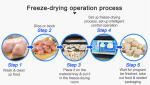 Small Lyophilizer Freeze Dryer Toption Freeze Drying And Lyophilization