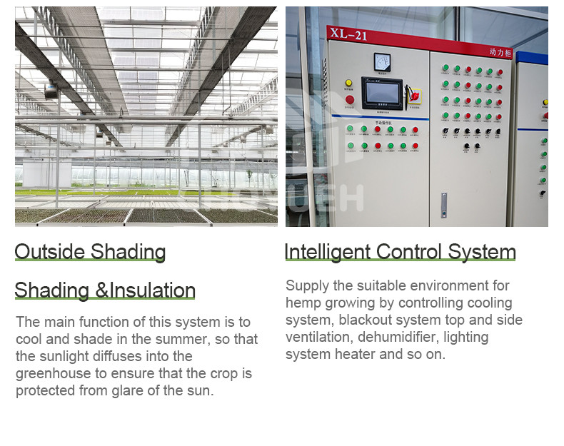 Double Layer PE Film Multi Span Film Greenhouse With Hydroponic System
