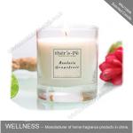 Sweet Smelling Pure Soy Wax Candles , Aromatherapy Scented Candles For Beauty