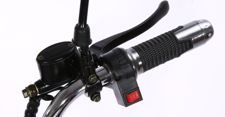 Eec Coc European Electric Scooter 120kg Long Range City Coco Fat Tire Scooter