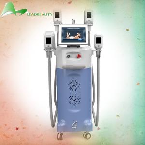 China Cryolipolysis slimming machine 100% cooling -15℃ best results wholesale