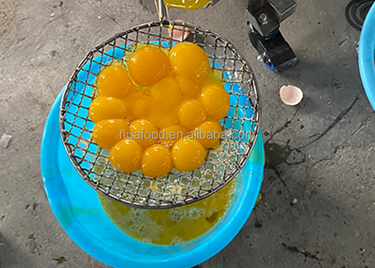 Latest Design Egg White Separator Machine / Stainless Steel Egg Yolk And Egg White Separator / Egg Yoke Separator