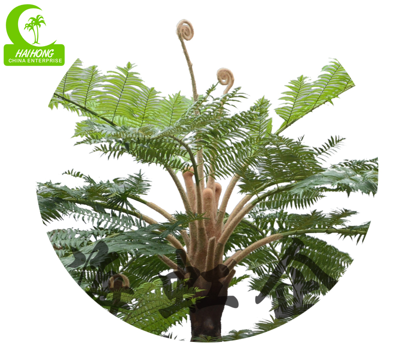 artificial fern plants