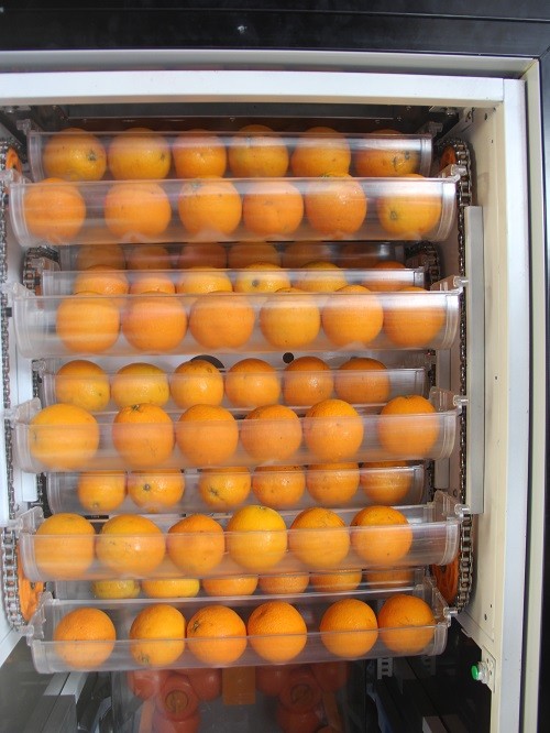Touch Screen Fresh Orange Juice Vending Machine Customized Payment Automatic Orange Juice Vending Machine
