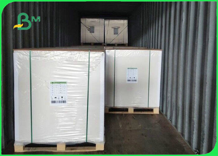 pe coated paper 