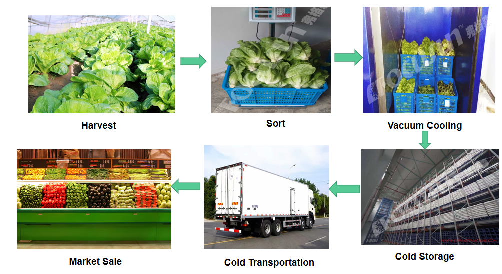 PLC Controlled Industrial Water Chiller for Long-Term Vegetable Preservation and Cooling