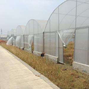 China Hydroponic Poly Film Multi Span Greenhouse wholesale