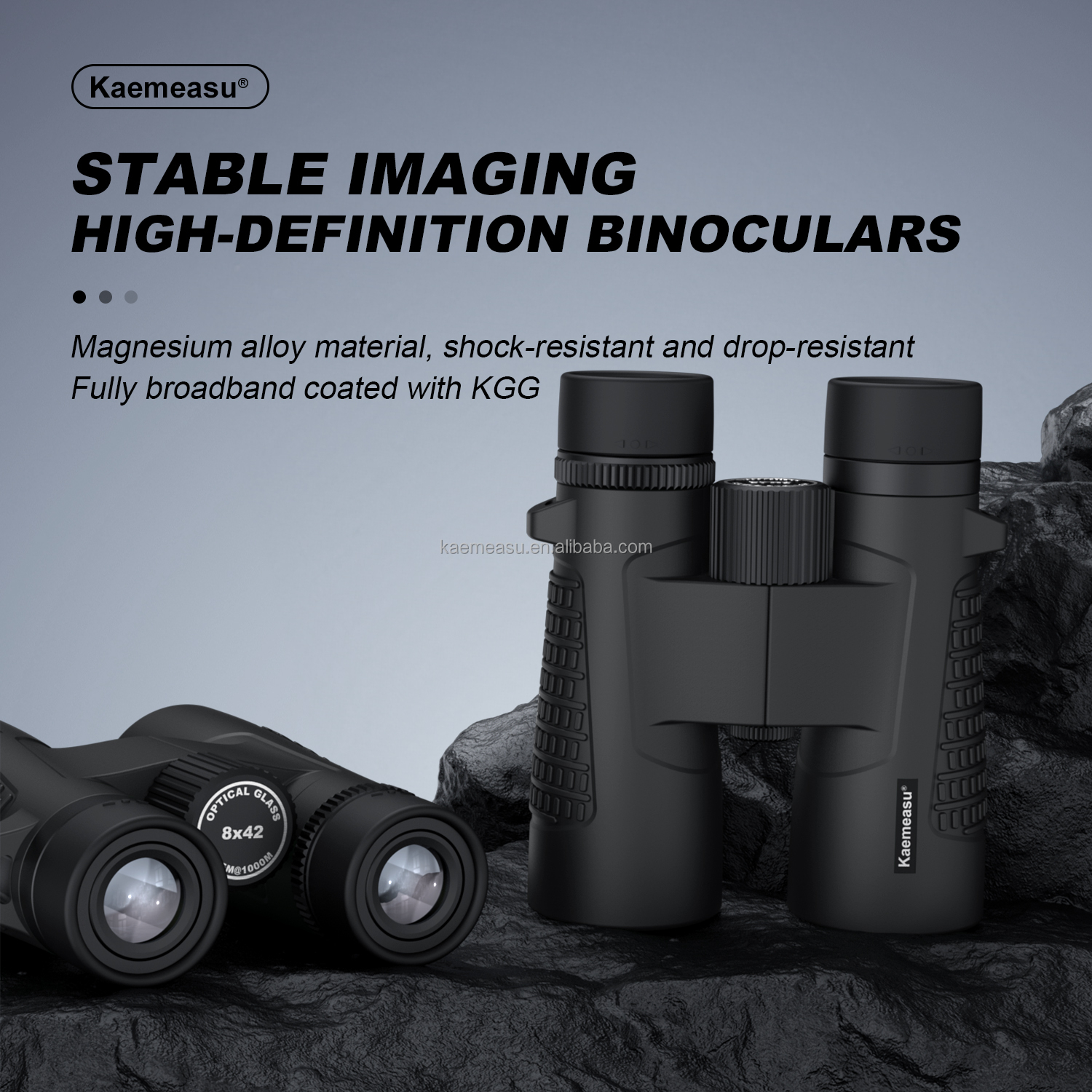 C 10X Magnification 42mm Caliber Binoculars Hunting Shooting Long Range Outdoor Clear Vision Binoculars Telescope