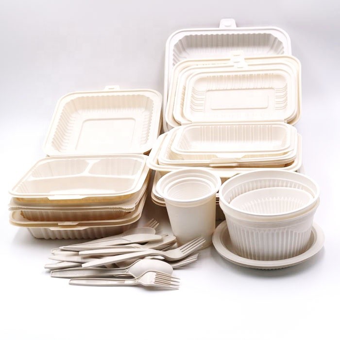 850ml 28oz PLA Tableware Disposable 8.0"X8.2"X2.5"