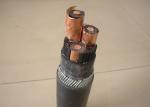 10KV 20KV 35KV Cu or Al Conductor XLPE Insulated Armored Power Cables