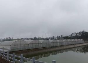 China Intelligent Control Agricultural Greenhouse For Farming Vegetables Flowers wholesale
