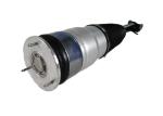 Air Ride Suspension Tesla Shock Absorbers For Model S 6006351-00-C Front Auto