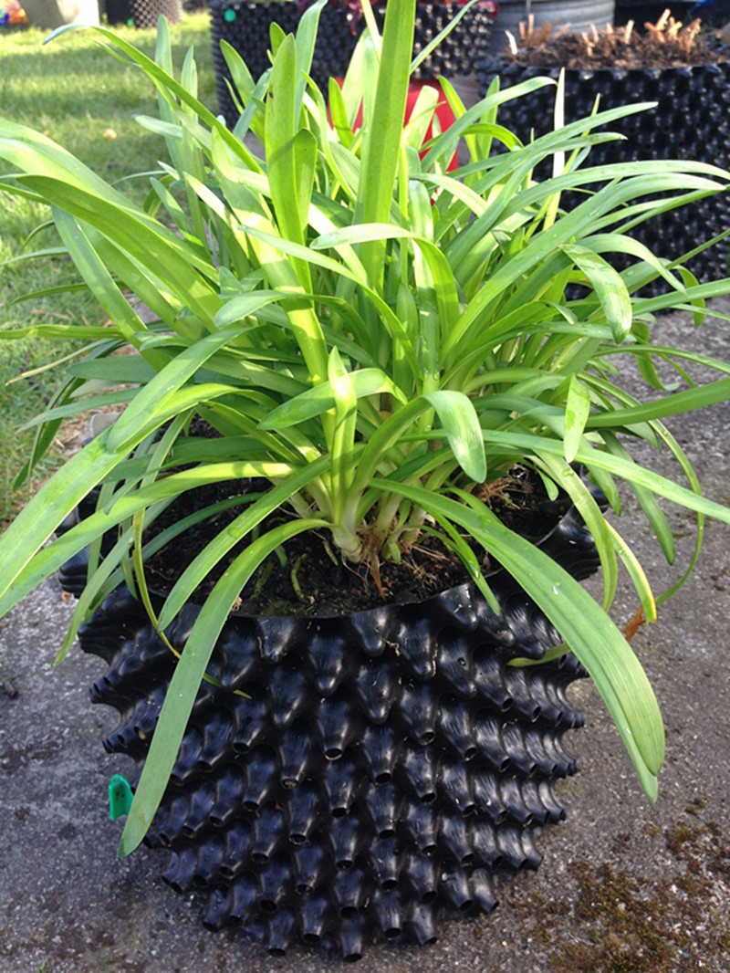 Convenient and eco-friendly pruning container root pot for wholesales