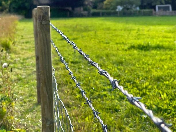 Anti-climbing Hot Dipped Galvanized Barbed Wire for Zimbabwe Farm Length Per Roll