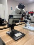 Binocular microscope