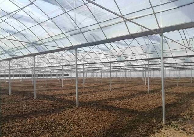 Easy Install Plastic Film Greenhouse , Dome Shaped Greenhouse Span Width 6 / 8 / 10m