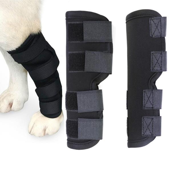 China Pet Knee Pad wholesale