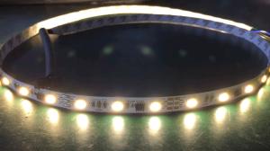 China DC12V addressable white digital led strip ws2811 wholesale