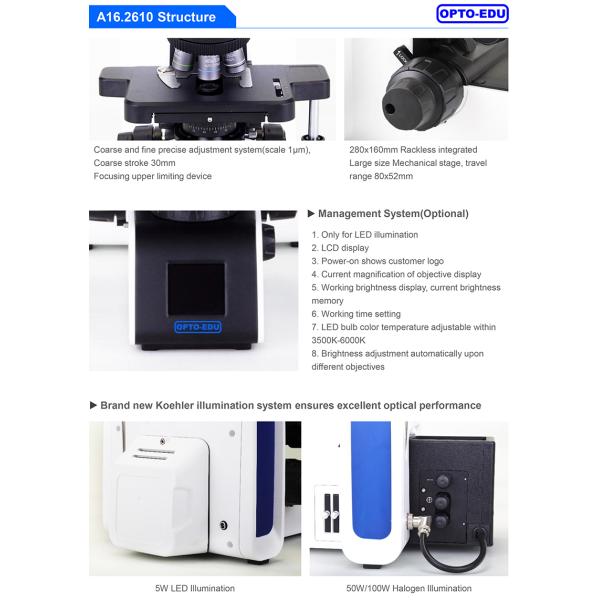 OPTO-EDU A16.2610 Trinocular 1000X Ultra LED Fluorescent Microscope